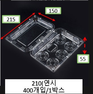 210(연시